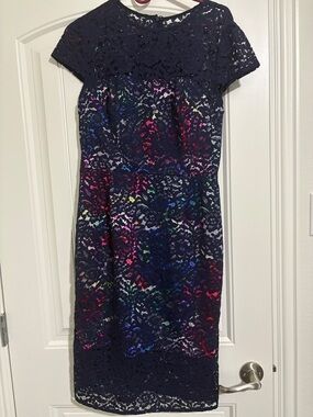 Navy Lace Overlay Sheath Dress with Multicolor Underlay